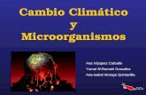 Cambio Climático y Microorganismos Ana Vázquez Carballo Yamal Al-Ramahi González Ana-Isabel Moraga Quintanilla.