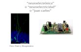 “neuroelectrónica” o “neuroelectricidad” o “juan carlos” Foto: Piatti y Morgenstern.