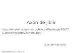 Axón de jibia 2 de abril de 2007 http://einstein.ciencias.uchile.cl/Fisiologia2007/ Clases/VoltageClampK.ppt 04/04/2007 03:11:36 p.m.