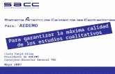 Mayo 2007 Para garantizar la máxima calidad de los estudios cualitativos Para: AEDEMO Lluís Fatjó-Vilas Presidente de ANEIMO Consejero-Director General.