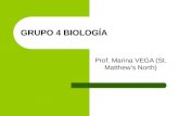GRUPO 4 BIOLOGÍA Prof. Marina VEGA (St. Matthew’s North)