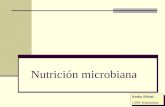 Nutrición microbiana Keiko Shirai: UAM-Iztapalapa Keiko Shirai: UAM-Iztapalapa.