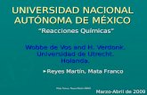 Mata Franco, Reyes Martín-UNAM UNIVERSIDAD NACIONAL AUTÓNOMA DE MÉXICO “Reacciones Químicas” “Reacciones Químicas” Wobbe de Vos and H. Verdonk. Universidad.