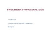 BIODIVERSIDAD Y BIODEGRADACIÓN Introducción Mecanismos de evolución y adaptación Ejemplos.