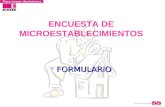 ENCUESTA DE MICROESTABLECIMIENTOS FORMULARIO FORMULARIO