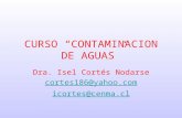 CURSO “CONTAMINACION DE AGUAS” Dra. Isel Cortés Nodarse cortes186@yahoo.com icortes@cenma.cl.