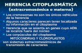 HERENCIA CITOPLASMÁTICA ( extracromosómica o materna ) Los cromosomas no son los únicos vehículos de la herencia Los cromosomas no son los únicos vehículos.