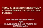 TEMA 2: ELECCIÓN COLECTIVA Y COMPORTAMIENTO DEL SECTOR PÚBLICO Prof. Roberto Rendeiro Martín-Cejas UNIVERSIDAD DE LAS PALMAS DE GRAN CANARIA.