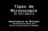 Tipos de Microscopía Departamento de Biología Universidad de Puerto Rico Recinto Universitario de Mayagüez POR: Carlos A. Muñoz, Ph.D. FOTOS: José R. Almodóvar,