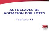1 AUTOCLAVES DE AGITACION POR LOTES Capítulo 13. 2 Descripción de la Autoclave Autoclaves que operan bajo presión, trabajan por lotes y proveen agitación.
