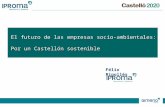 El futuro de las empresas socio-ambientales: Por un Castellón sostenible Félix Ripollés.