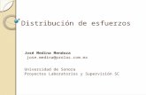 Distribución de esfuerzos José Medina Mendoza jose.medina@prolas.com.mx Universidad de Sonora Proyectos Laboratorios y Supervisión SC.