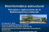 Bioinformática estructural Principios y aplicaciones de la Biofisicoquímica molecular Dr. Marcelo A. Martí Grupo de Modelado Molecular DQIAyQF Grupo de.