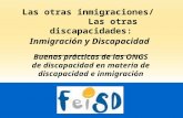 Las otras inmigraciones/ Las otras discapacidades: Inmigración y Discapacidad __________________ Buenas prácticas de las ONGS de discapacidad en materia.