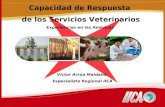 Víctor Arrúa Maidana. Especialista Regional IICA Capacidad de Respuesta de los Servicios Veterinarios Experiencias en las Américas.