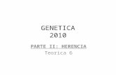 GENETICA 2010 PARTE II: HERENCIA Teorica 6. DOMINANCIAS A DISTINTOS NIVELES DE FENOTIPO FIBROSIS QUISTICA.