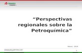 1 “Perspectivas regionales sobre la Petroquímica” Marzo, 2010.