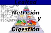 Nutrición y Digestión Nutrición y Digestión OBJETIVO EDUCATIVO ESPECÍFICO: Describir los aspectos sobre el funcionamiento y conocimientos anatómicos de.