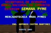 MERCADOTECNIA PARA PYMES AGOSTO 2003 SECRETARIA DE ECONOMIA BANCO NACIONAL DE COMERCIO EXTERIOR SEMANA PYME ING. ANTONIO CASTRO MARTINEZ.