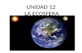 UNIDAD 12 LA ECOSFERA. 1.- ECOLOGÍA. Ecología. Ciencia que estudia los seres vivos y el medio en el que vive. (Haeckel.- 1869) Biosfera.- Conjunto de.