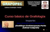 1 Curso básico de Grafología Imparte: Jose Antonio León Zamarreño (Grafólogo-Grafoterapeuta-Perito Judicial Calígrafo) Gabinete Grafológico -Pericial.