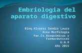 Bioq.Alvarez Sandra Laura Area Morfología Fac.Cs.Bioquímicas y Farmacéuticas U.N.R Año 2015.