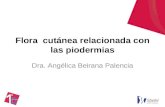 Flora cutánea relacionada con las piodermias Dra. Angélica Beirana Palencia.