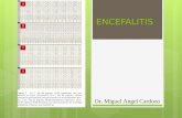 ENCEFALITIS Dr. Miguel Angel Cardozo. ENCEFALITIS.