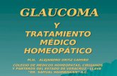 GLAUCOMA Y TRATAMIENTO TRATAMIENTO MÉDICO HOMEOPÁTICO M.H. ALEJANDRO ORTIZ CAMIRO COLEGIO DE MÉDICOS HOMEÓPATAS, CIRUJANOS Y PARTEROS DEL ESTADO DE VERACRUZ.