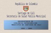 OBSERVATORIO DE VIOLENCIA INTRAFAMILIAR MUNICIPIO DE SANTIAGO DE CALI 2003 - 2004 OBSERVATORIO DE VIOLENCIA INTRAFAMILIAR MUNICIPIO DE SANTIAGO DE CALI.