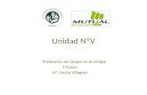 Unidad NºV Prevención de riesgos en el colegio 3 Clases Mª Cecilia Villagrán.
