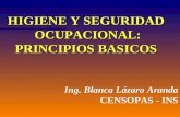 HIGIENE Y SEGURIDAD OCUPACIONAL: PRINCIPIOS BASICOS Ing. Blanca Lázaro Aranda CENSOPAS - INS.