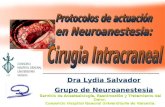 Dra Lydia Salvador Grupo de Neuroanestesia Servicio de Anestesiología, Reanimación y Tratamiento del Dolor. Consorcio Hospital General Universitario de.