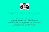 Expresiones Lógicas Prof. Flor Narciso Departamento de Computación Escuela de Ingeniería de Sistemas Facultad de Ingeniería Universidad de Los Andes.