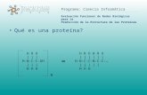 Programa: Ciencia Informática Evaluación Funcional de Redes Biológicas para la Predicción de la Estructura de las Proteínas Qué es una proteína? H R O.