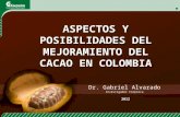 ASPECTOS Y POSIBILIDADES DEL MEJORAMIENTO DEL CACAO EN COLOMBIA Dr. Gabriel Alvarado Investigador Corpoica 2012.