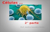 Células … Prof. Joselina Saavedra Muñoz 2° parte.