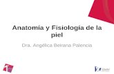 Anatomía y Fisiología de la piel Dra. Angélica Beirana Palencia.