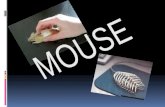 Al mover el mouse, las ruedas giran y la luz de los LEDS se prenden estas eliminan la necesidad de las numerosas reparaciones originadas por el desgaste.