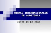 NORMAS INTERNACIONALES DE AUDITORIA JUNIO 19 DE 2006.