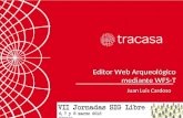 Juan Luis Cardoso Editor Web Arqueológico mediante WFS-T.