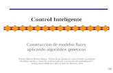 35 Control Inteligente Construccion de modelos fuzzy aplicando algoritmos geneticos Fuente: Mariela Muñoz Añasco, “Diseño de un sistema de control basado.
