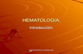 FUNDACION BARCELO,FACULTAD DE MEDICINA HEMATOLOGIA. Introducción.