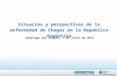 Situación y perspectivas de la enfermedad de Chagas en la República Argentina Santiago del Estero, 7 de junio de 2013.