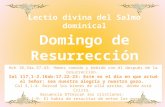 Lectio divina del Salmo dominical Domingo de Resurrección Hch 10,34a.37-43: Hemos comido y bebido con él después de la resurrección. Sal 117,1-2.16ab-17.22-23: