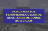 FUNDAMENTOS FENOMENOLOGICOS DE REACTORES DE LODOS ACTIVADOS.