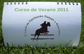 Curso de Verano 2011 Es el momento ideal para que sus hijos aprendan a montar a caballo en estas vacaciones del 2011. Nextel: 3621 6092 3621 6093 .