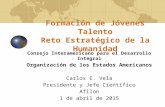 Formación de Jóvenes Talento Reto Estratégico de la Humanidad Consejo Interamericano para el Desarrollo Integral Organización de los Estados Americanos.