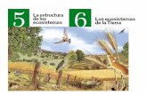 Lectura inicial En el invierno de 2005, unos científicos españoles que estudiaban las aves migratorias en Mauritania, oyeron hablar de una charca en la.
