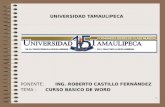 1 PONENTE: ING. ROBERTO CASTILLO FERNÁNDEZ TEMA : CURSO BASICO DE WORD UNIVERSIDAD TAMAULIPECA.